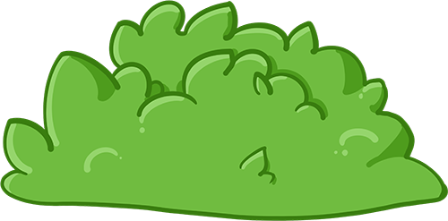Bush